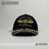 Gorra Con Laurel - Fuerza Aerea AZUL